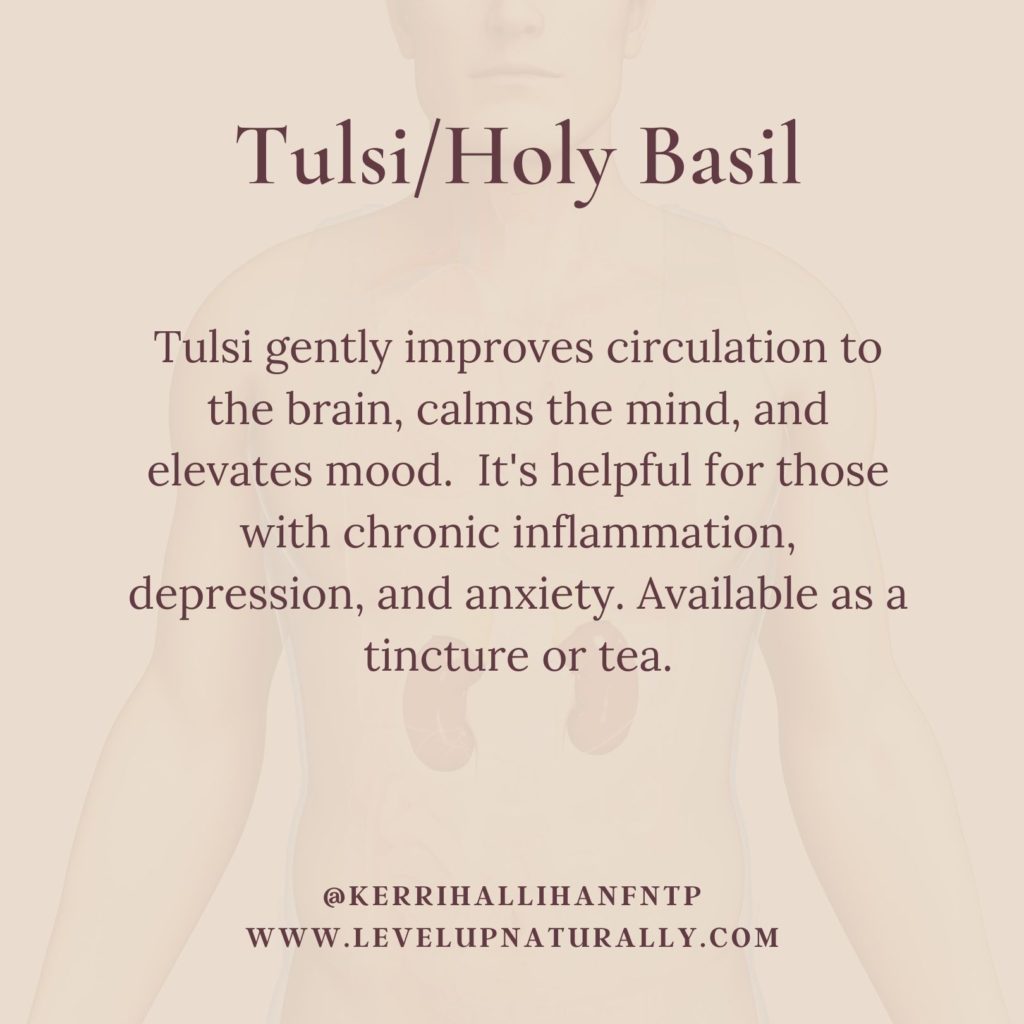 Adaptogen: Tulsi or Holy Basil
